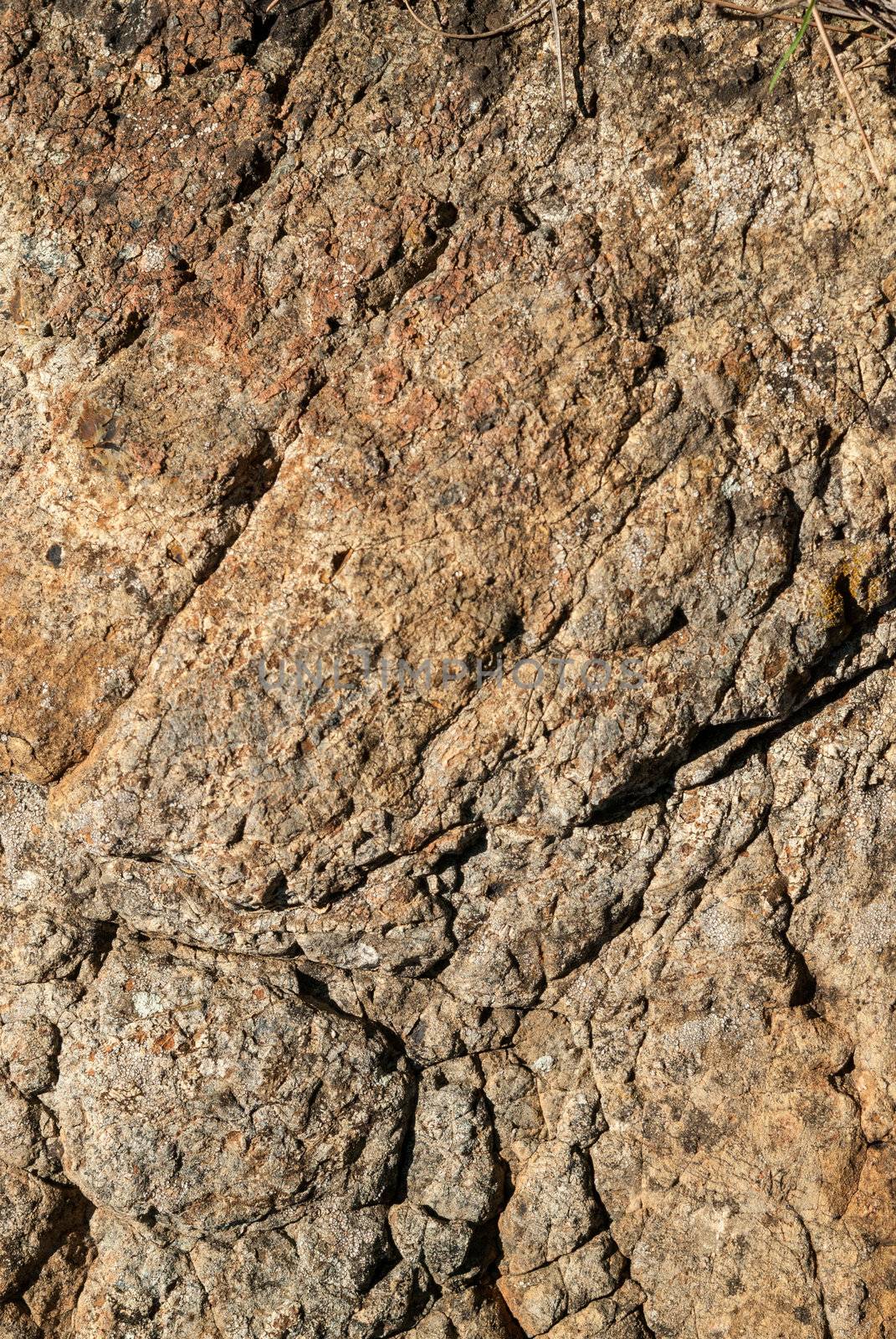 Surface of Textured stone background. Brown tint