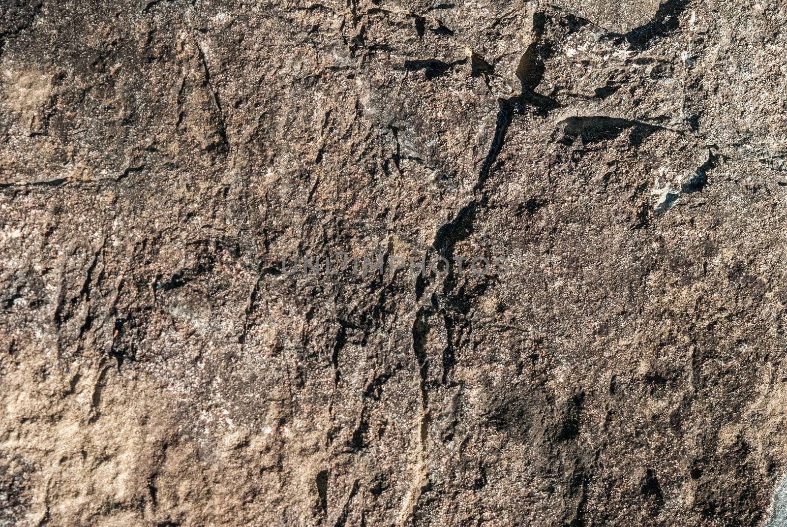 Surface of Textured stone background