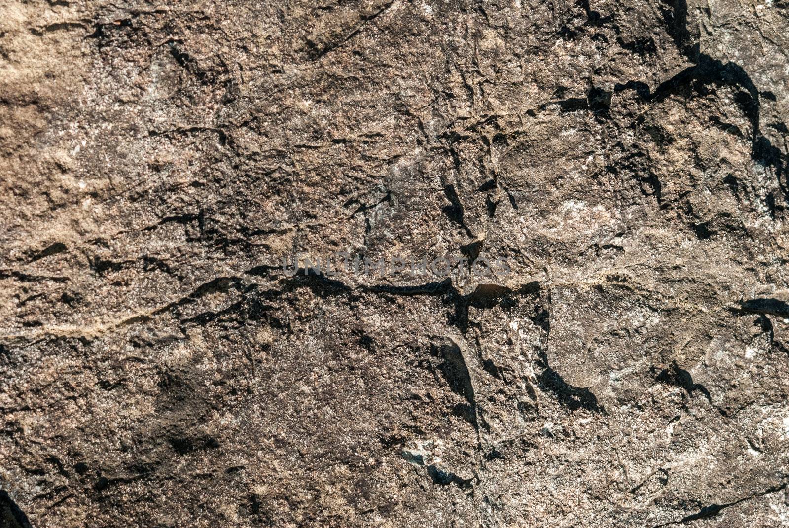 Surface of Textured stone background