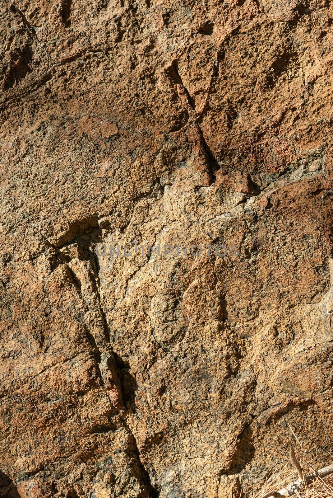 Surface of Textured stone background. Yellow tint