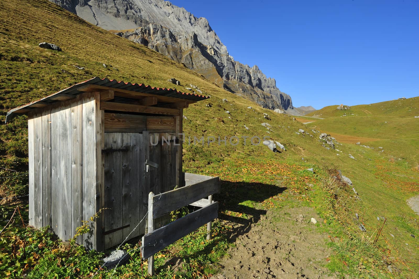 A small wooden outhouse standing isolated hight in the Swiss alps