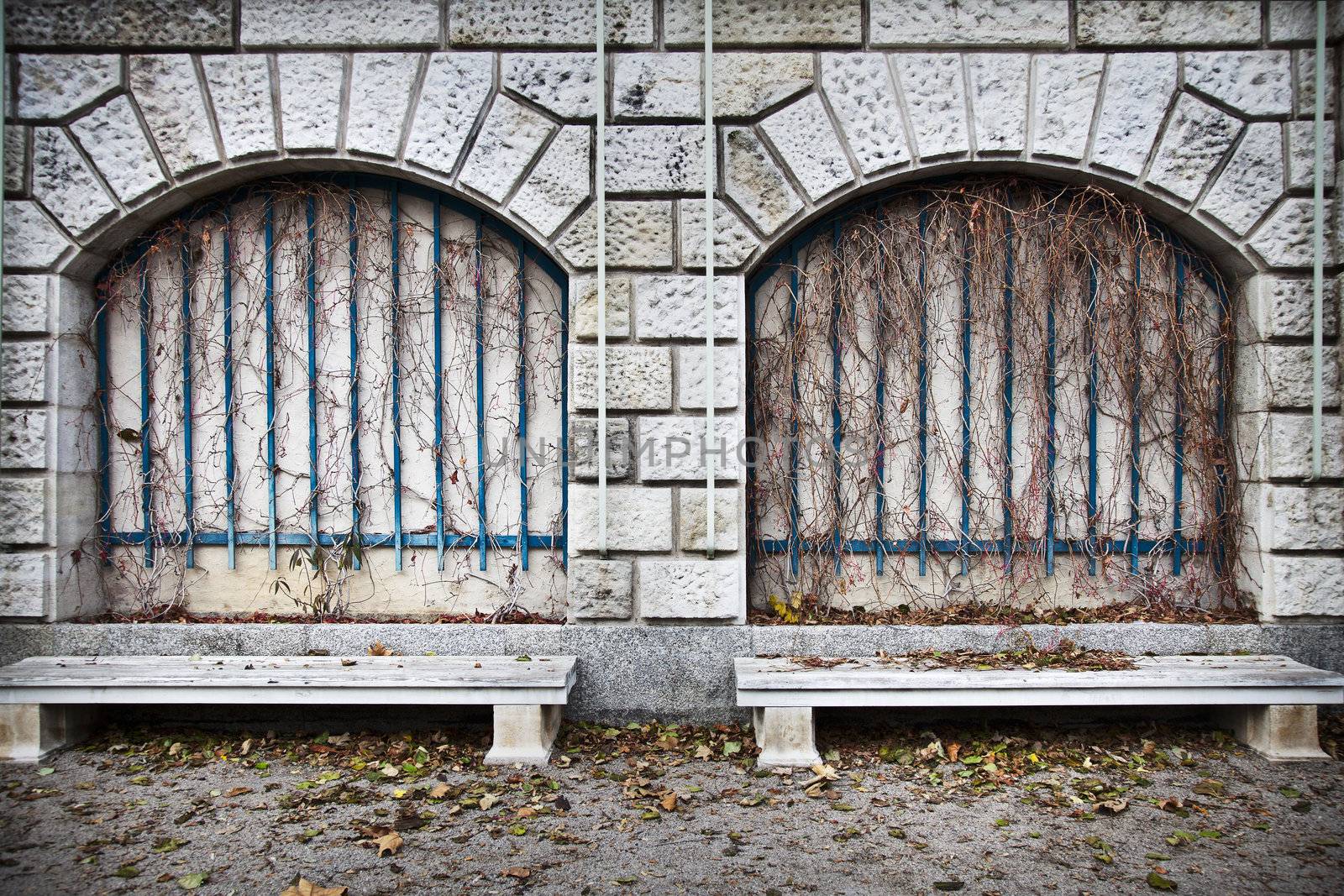 Two empty cement benches in front of a stown wall with leaves on ground and ivy without leaves.