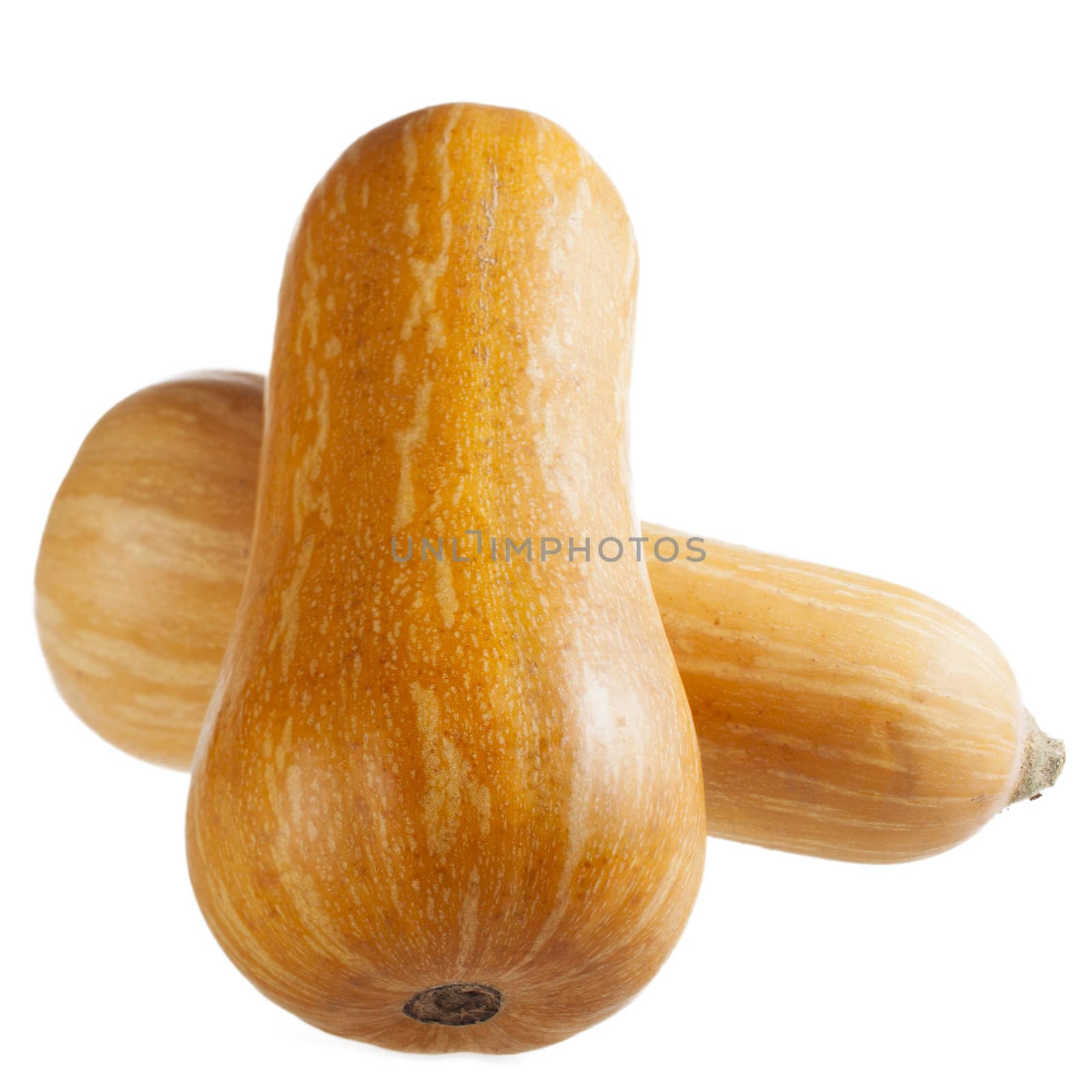 Two whole butternut squash isolated on a white background