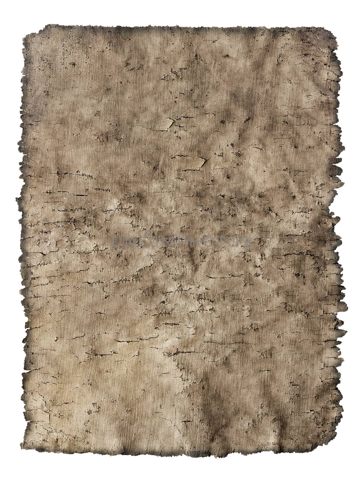 old cracked sheet of parchment in a grunge style by Plus69