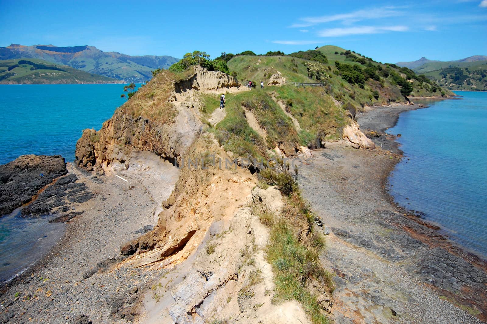 Onawe peninsula, Banks Peninsula, New Zealand