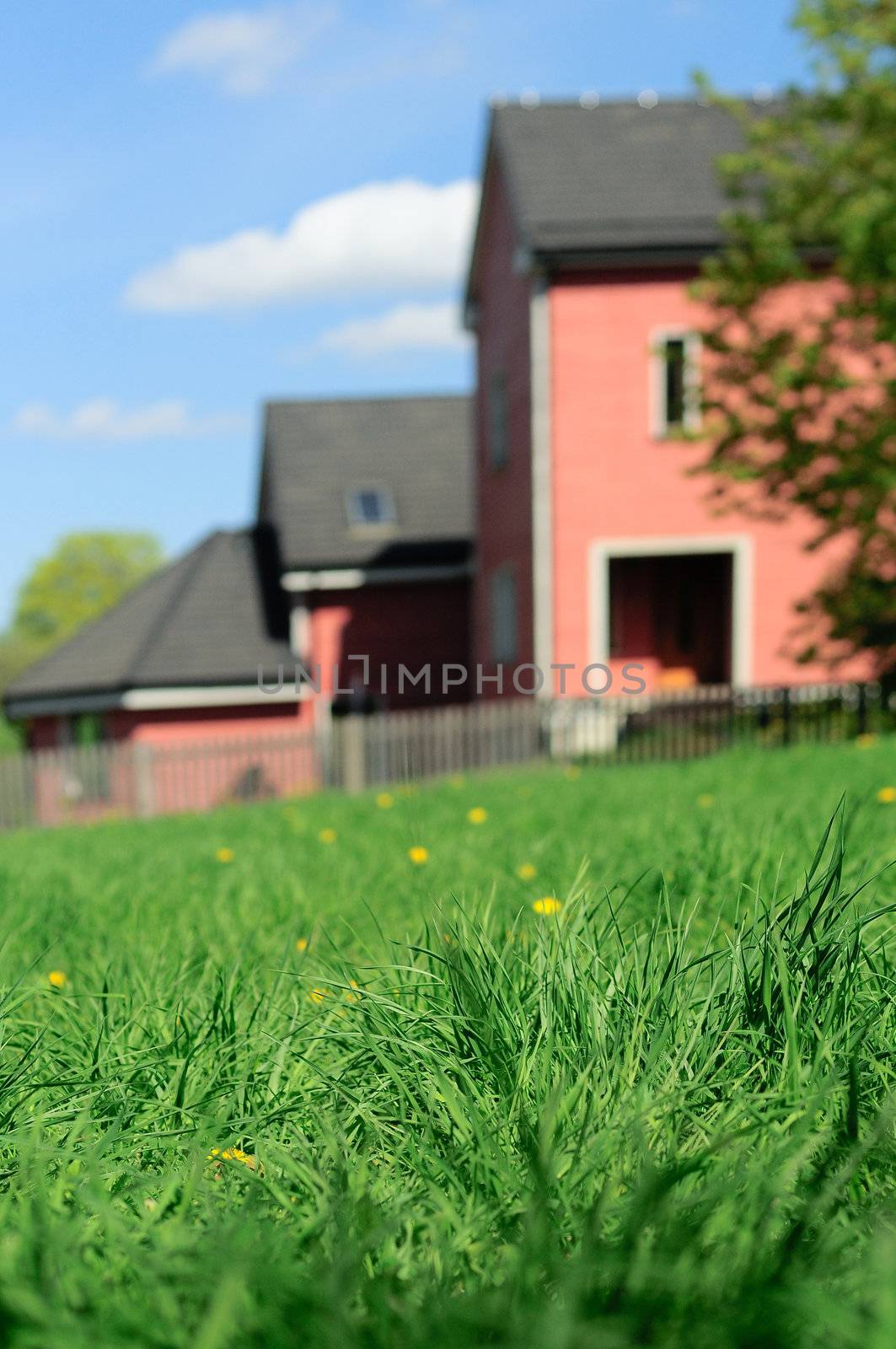 House behind grass