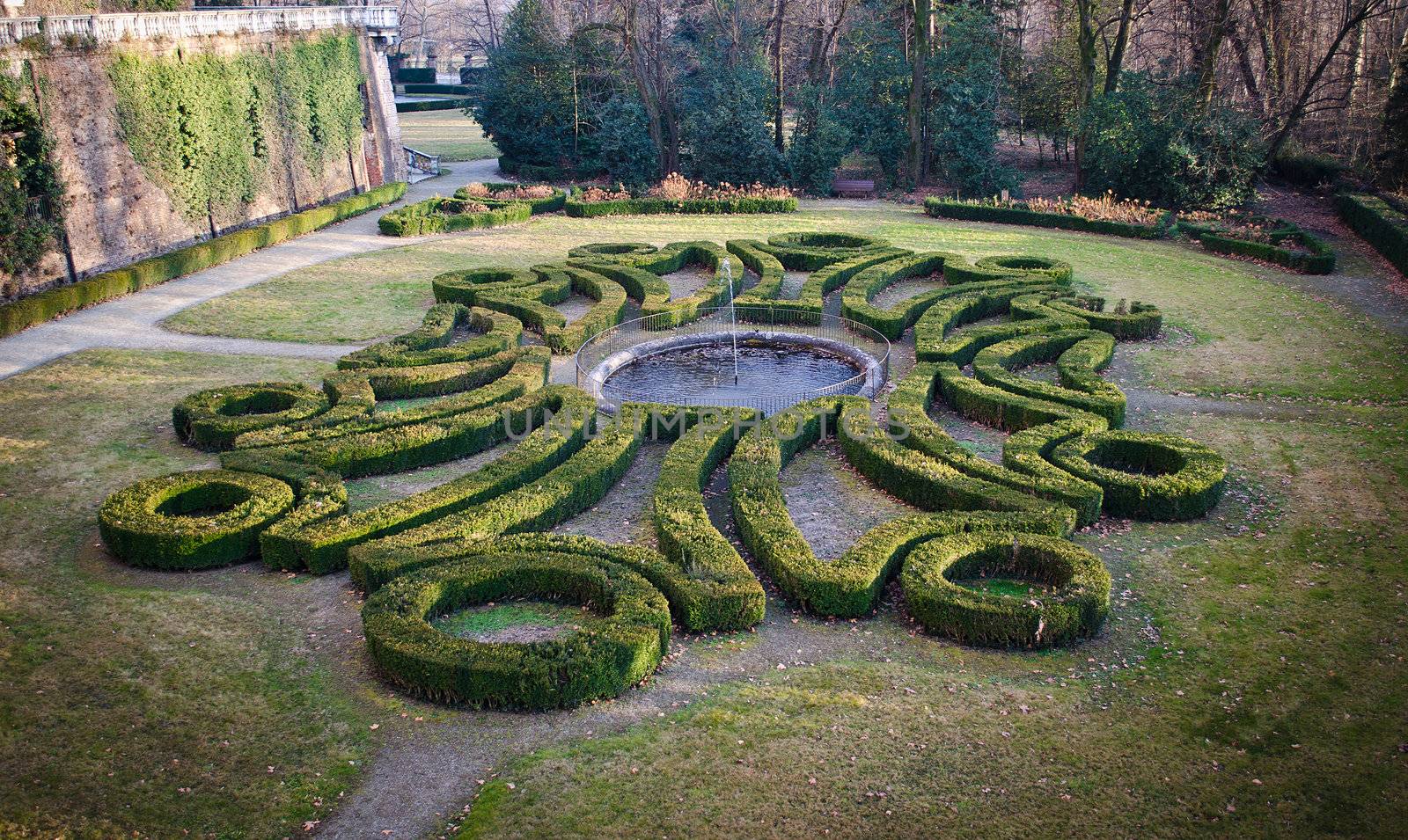 Decorative hedges form geometric shapes in classic, elegant garden