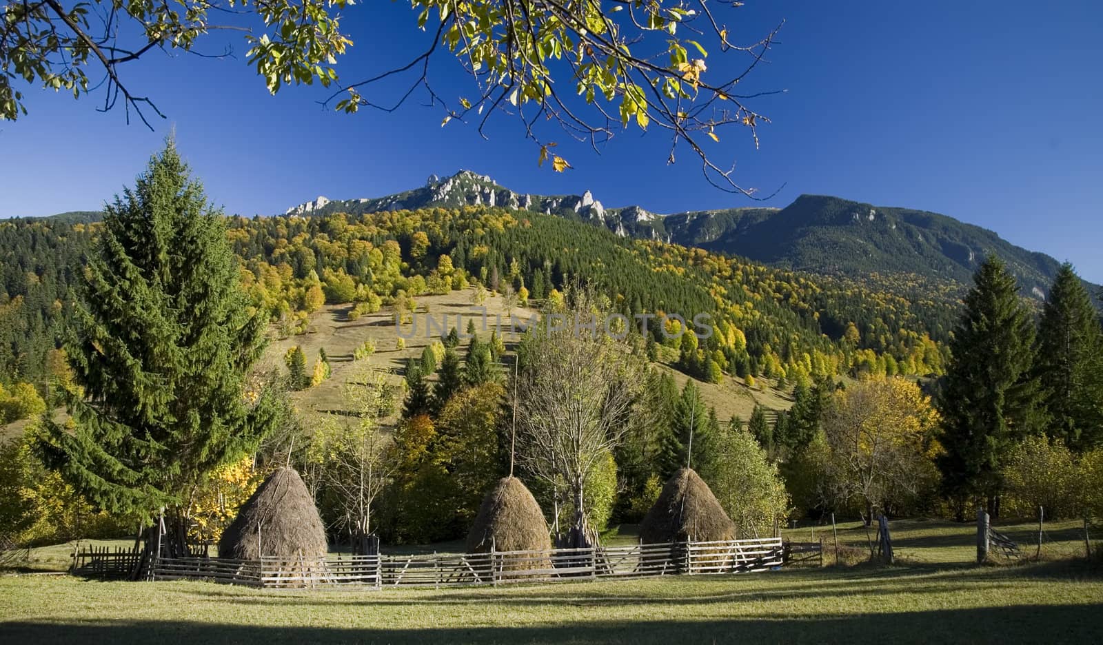 autumn rural mountain landscape in Romania