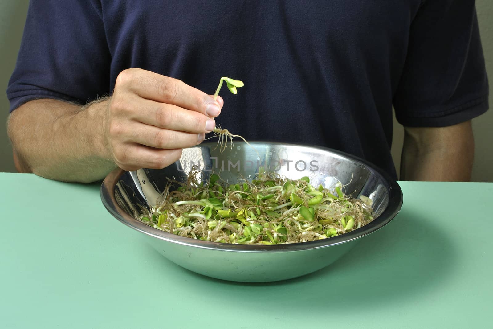 Man holding a sprout as he stands behind a bowl of fresh sunflower sprouts