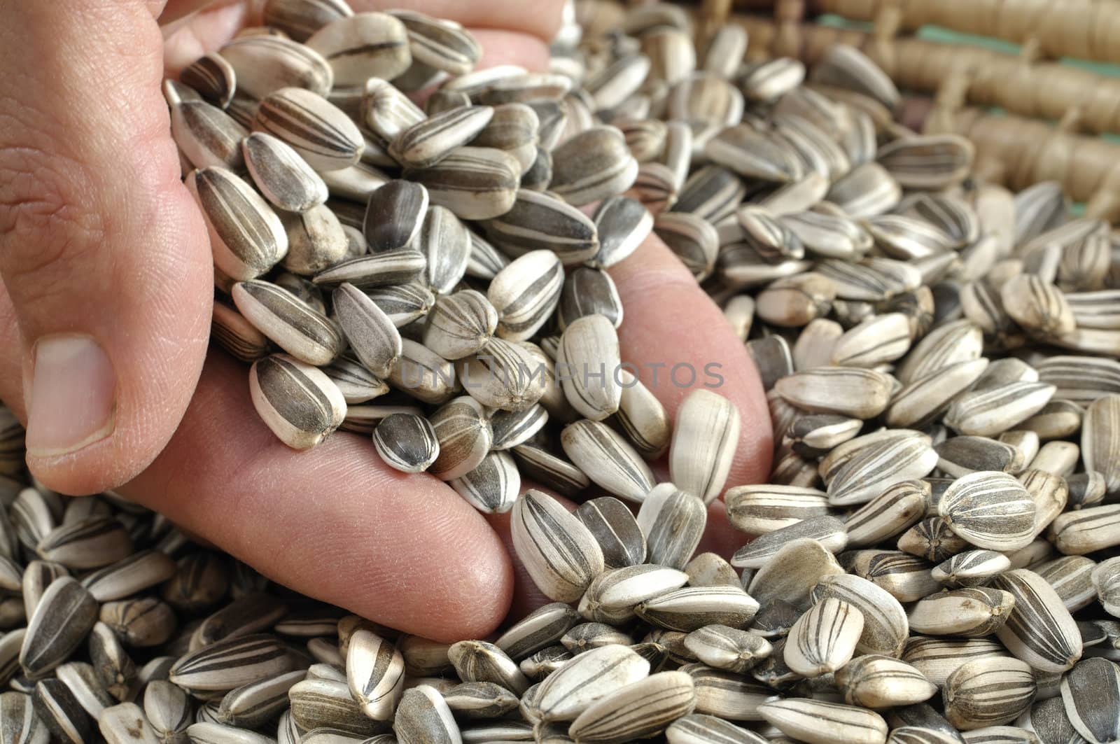 Closeup of man scooping handful of whole sunflower seeds