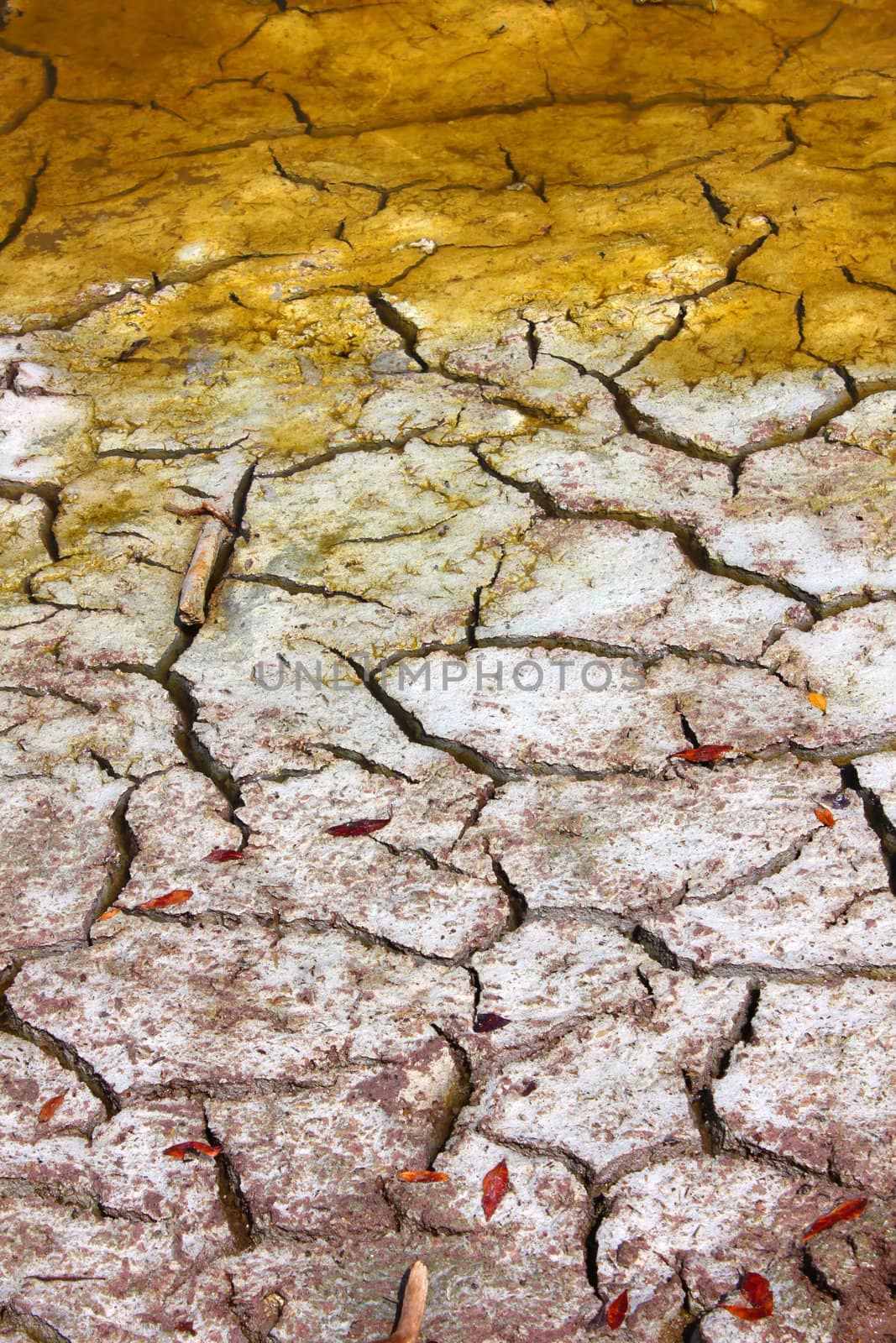 Cracked Earth Background by Wirepec