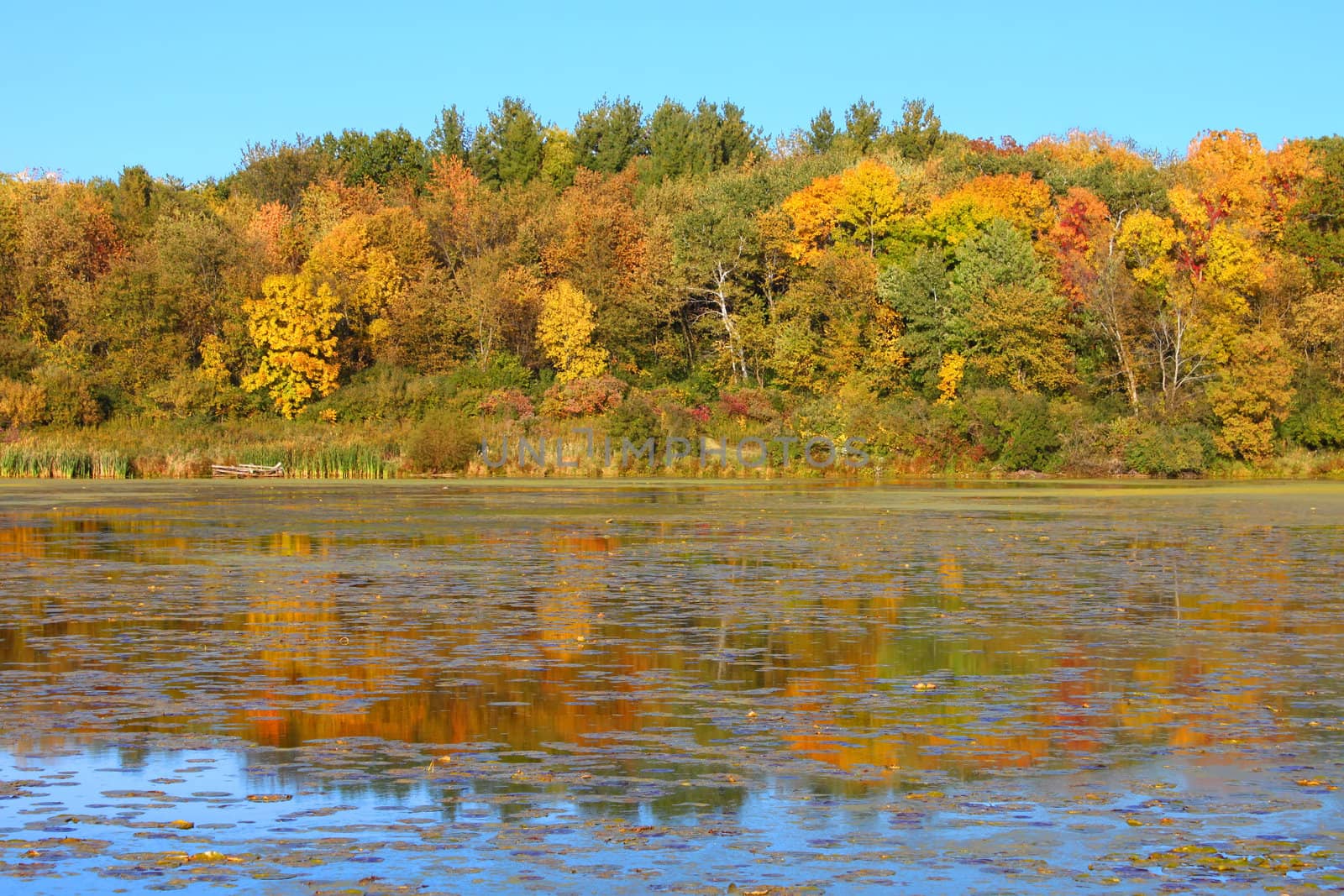 Colorful shoreline of Olson Lake in Rock Cut State Park of Illinois.