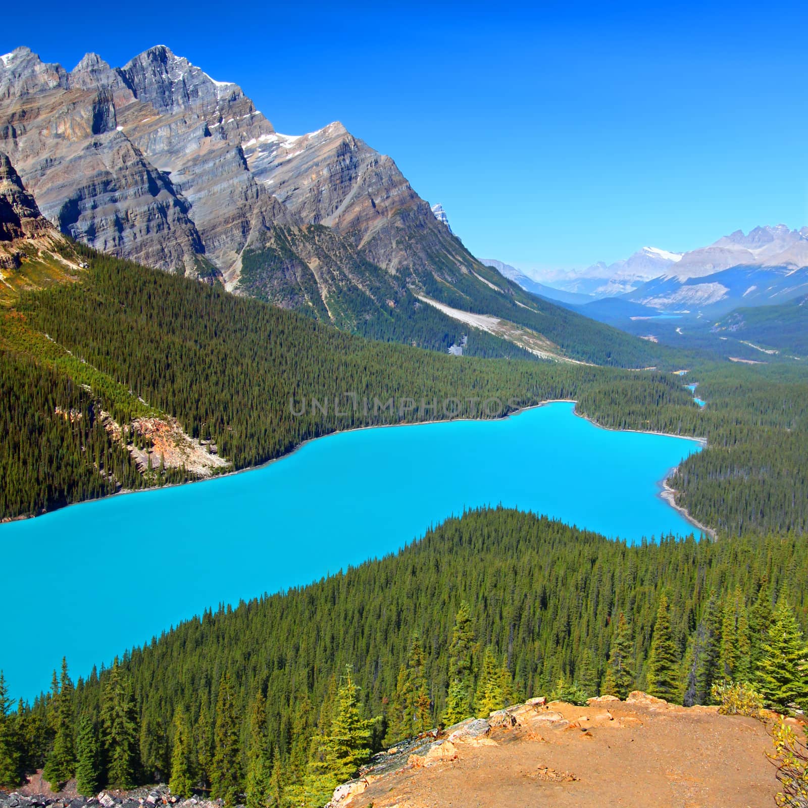 Magnificent blue waters of Peyto Lake of Banff National Park in Canada.