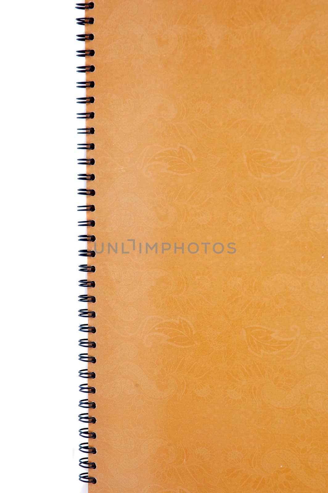 brown floral cover of book vertical isolated on white background