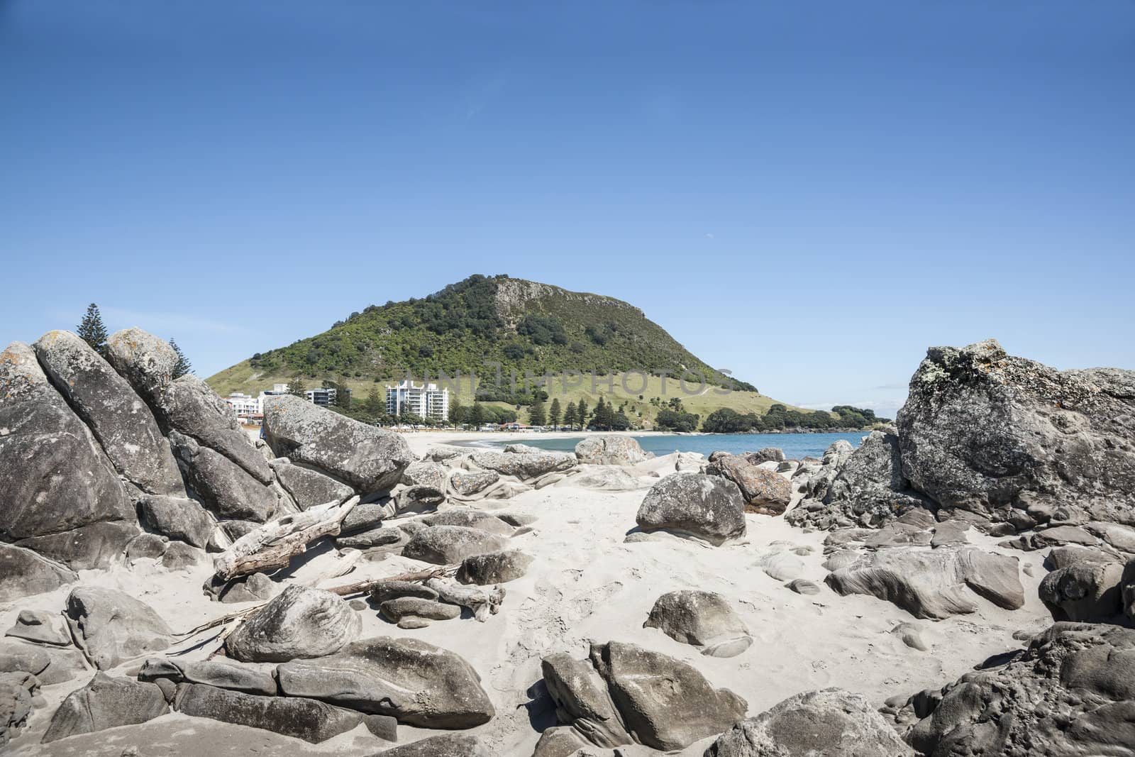 Mount Maunganui, at end of the beach with Rocky foreground.
