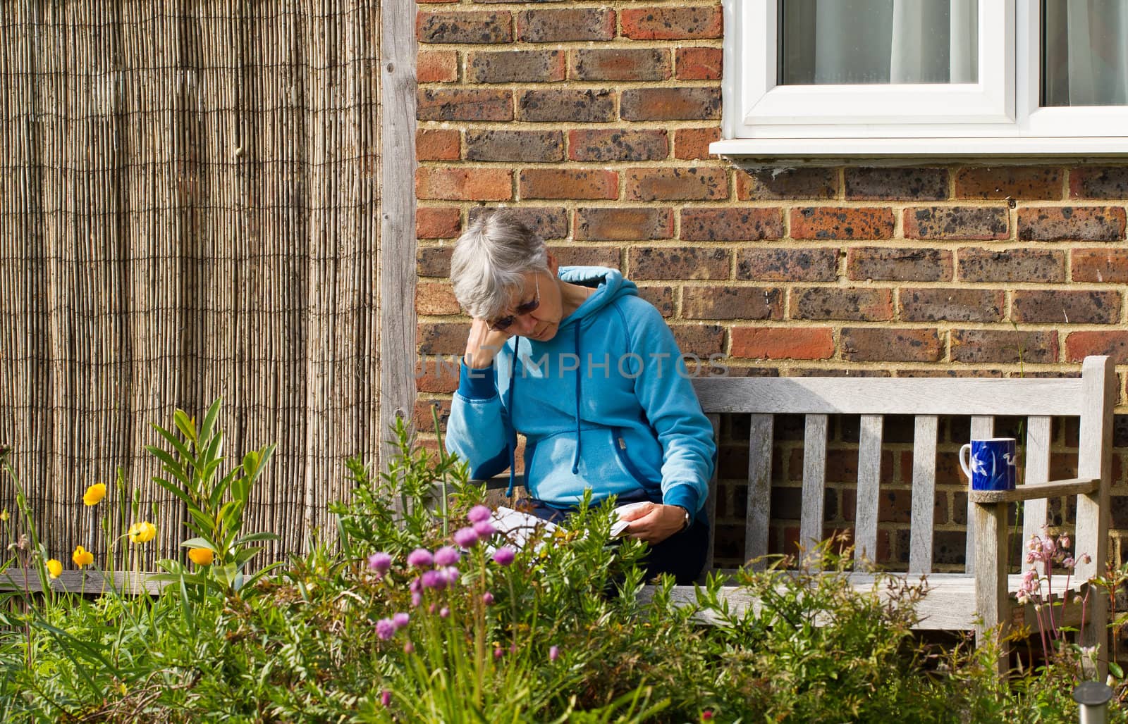 Senior woman sitting on bench reading in garden in summer sunshine