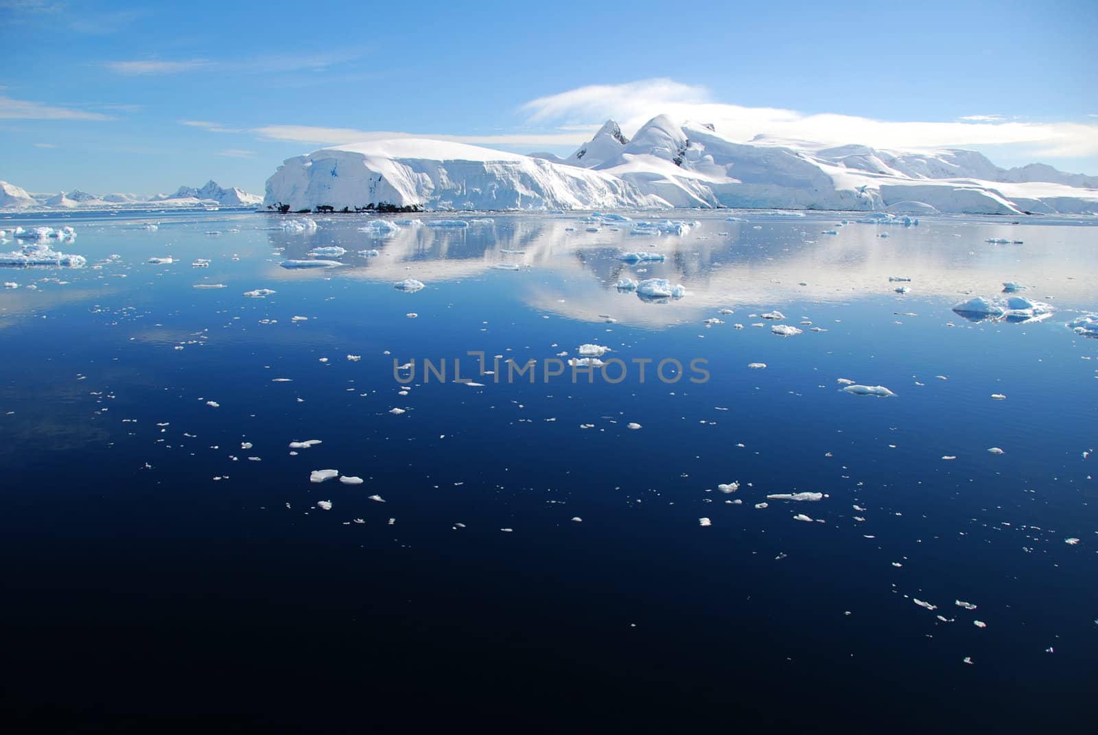 blue sea in antarctica