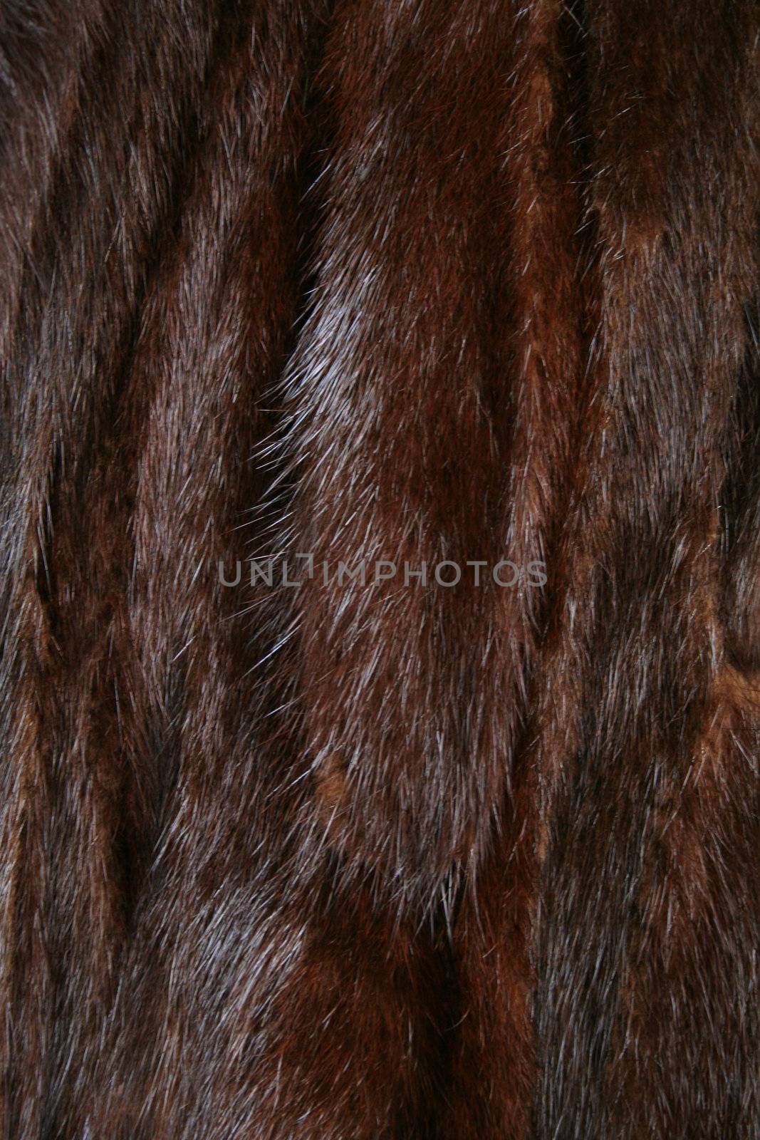 The fur of brown mink as a background 