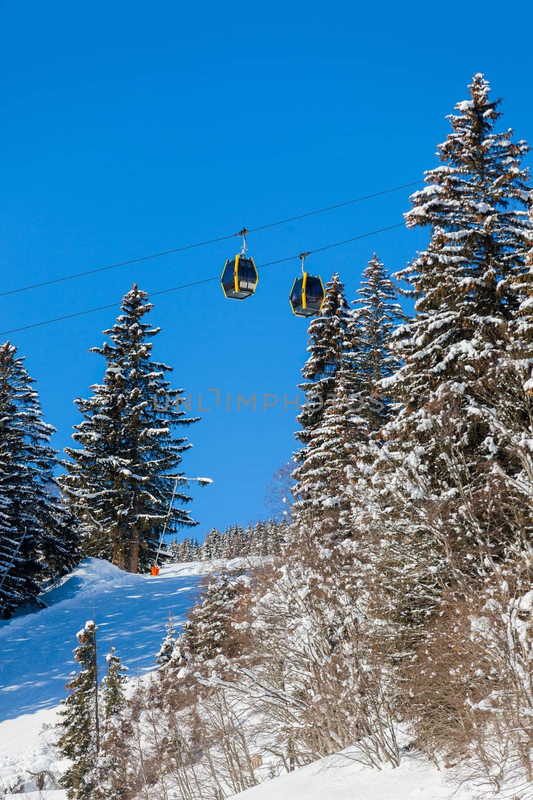 Alpine landscape. Ski lift chairs, pine tree, mountains. Tyrol, Austria