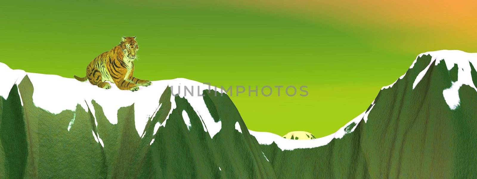 Tiger relaxing in a sitting pose upon a snowy mountain in green sky background