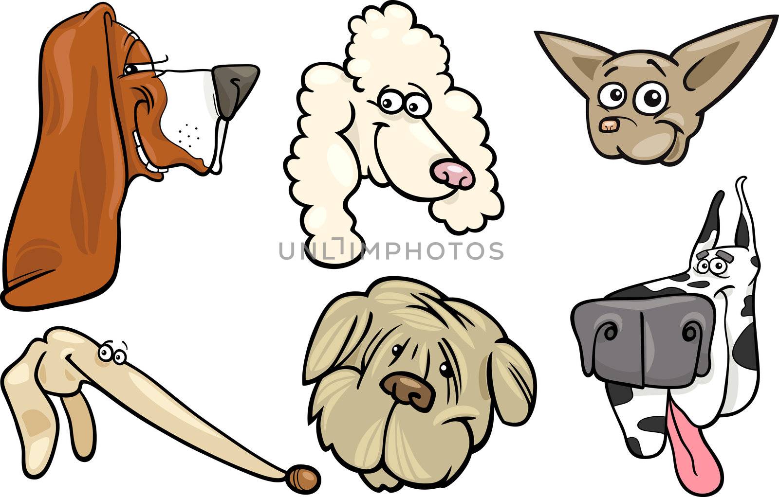 Cartoon Illustration of Different Happy Dogs Heads Collection Set