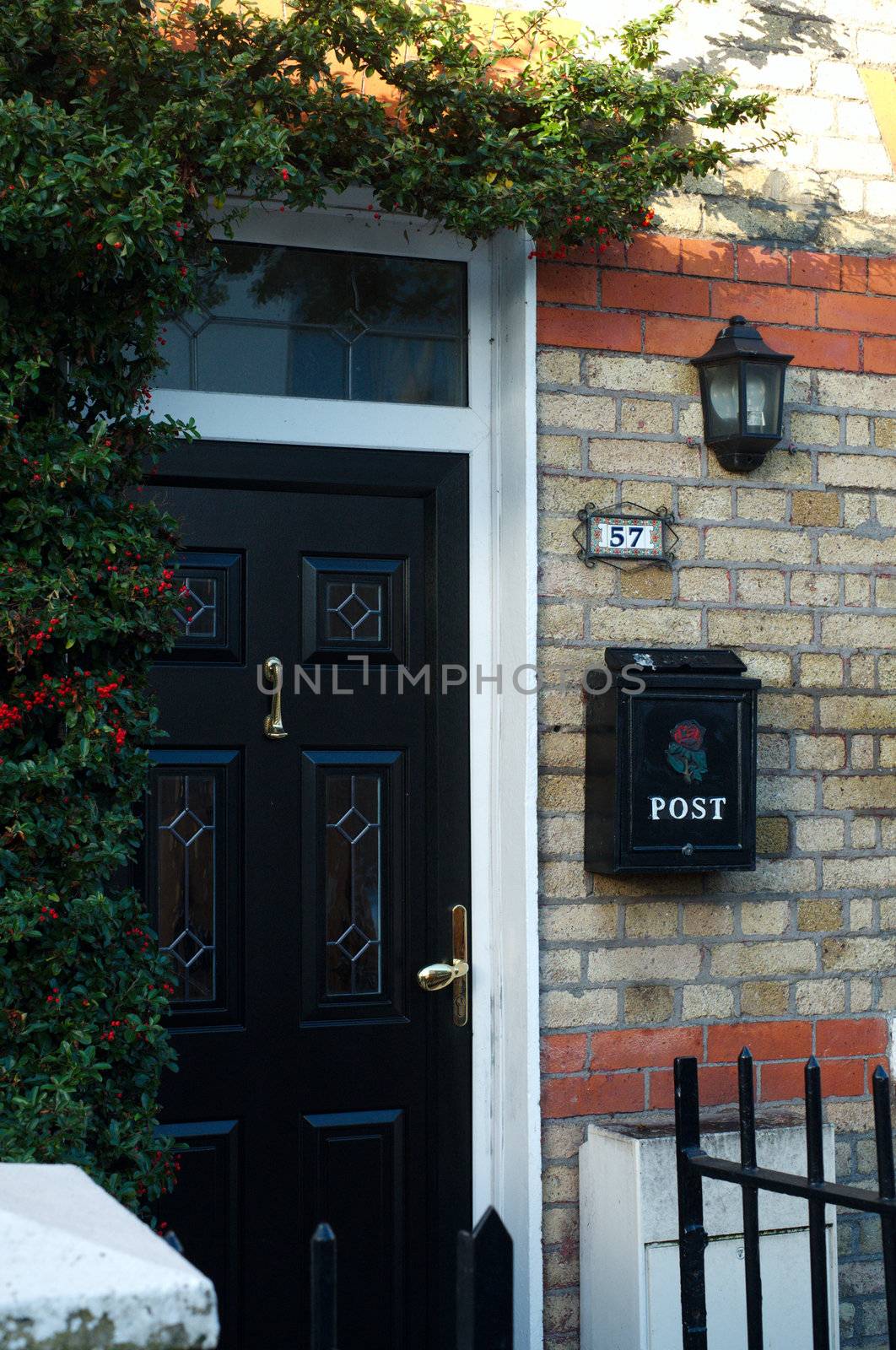 Dublin doors. Ireland by liseykina