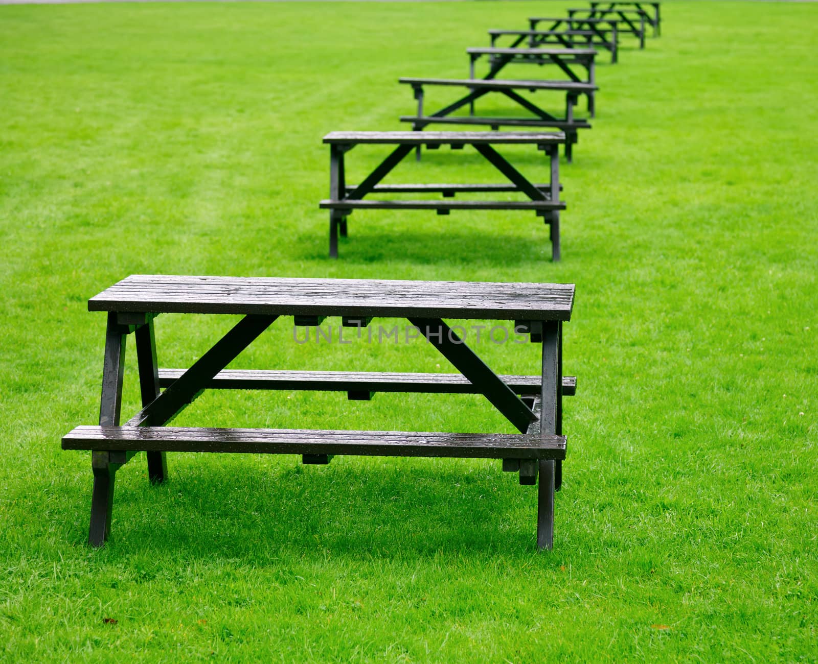 Picnic tables by naumoid