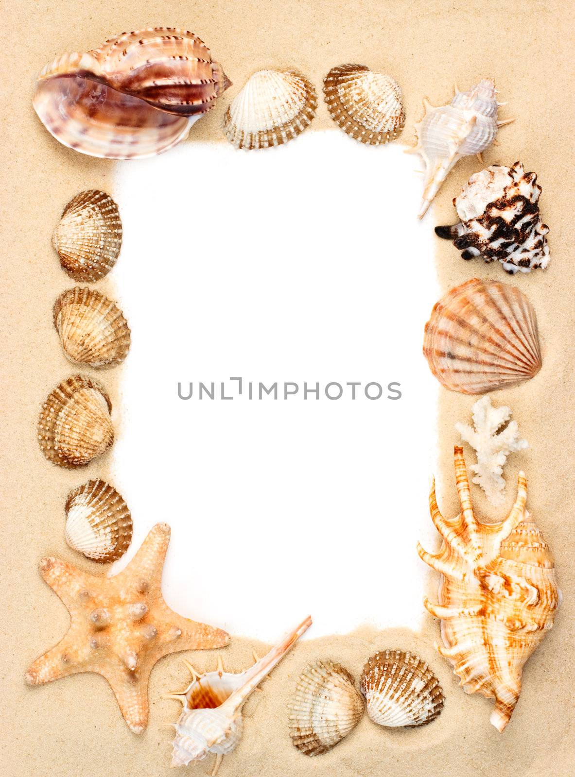 Shells on sand frame by naumoid
