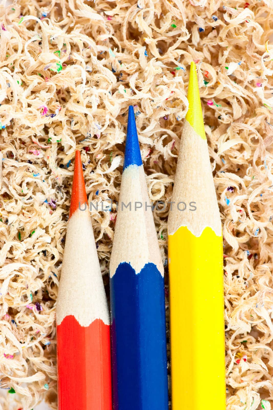 Wooden colored pencils in a shaving