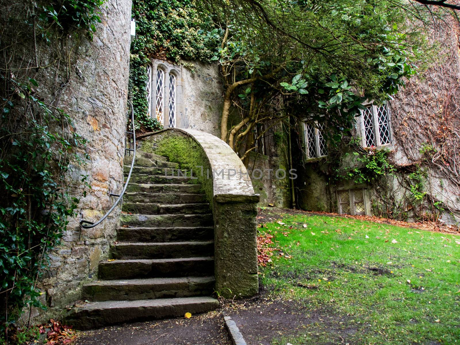 Malahide Castle in Ireland by liseykina