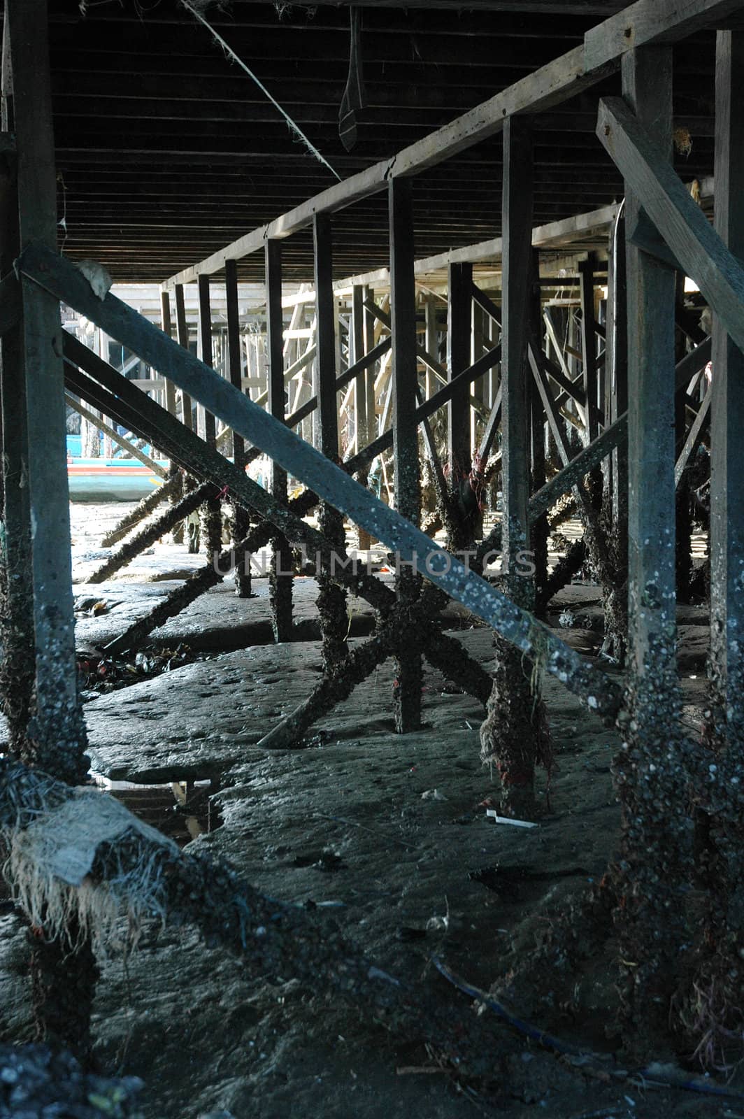 atmosphere under a wooden bridge when the sea was receding