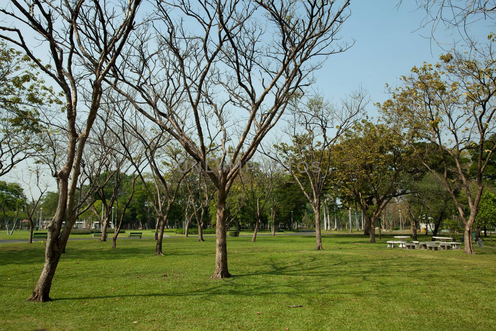 Green park