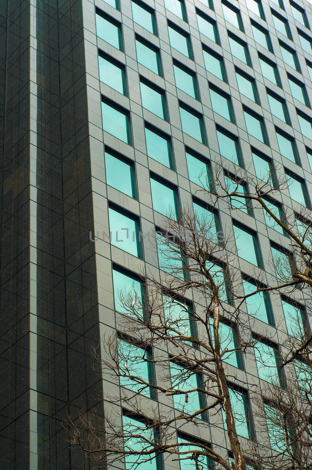 An abstract image of the windows of a skyscraper