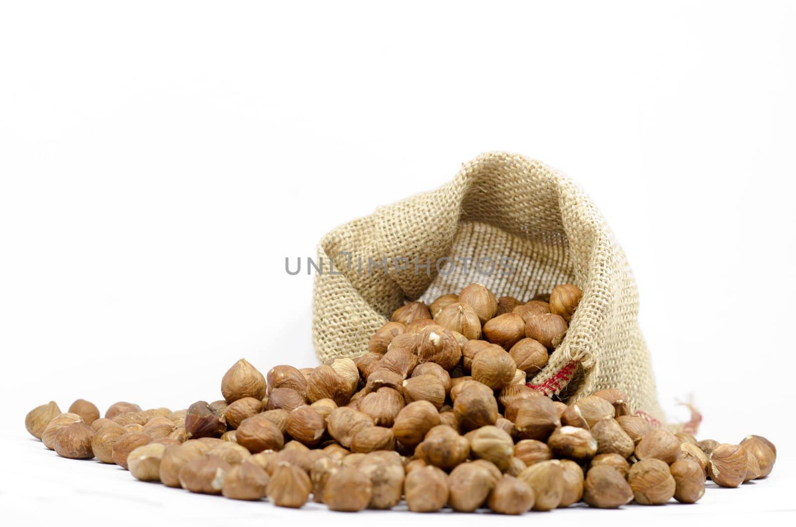 shelled hazelnut on white background