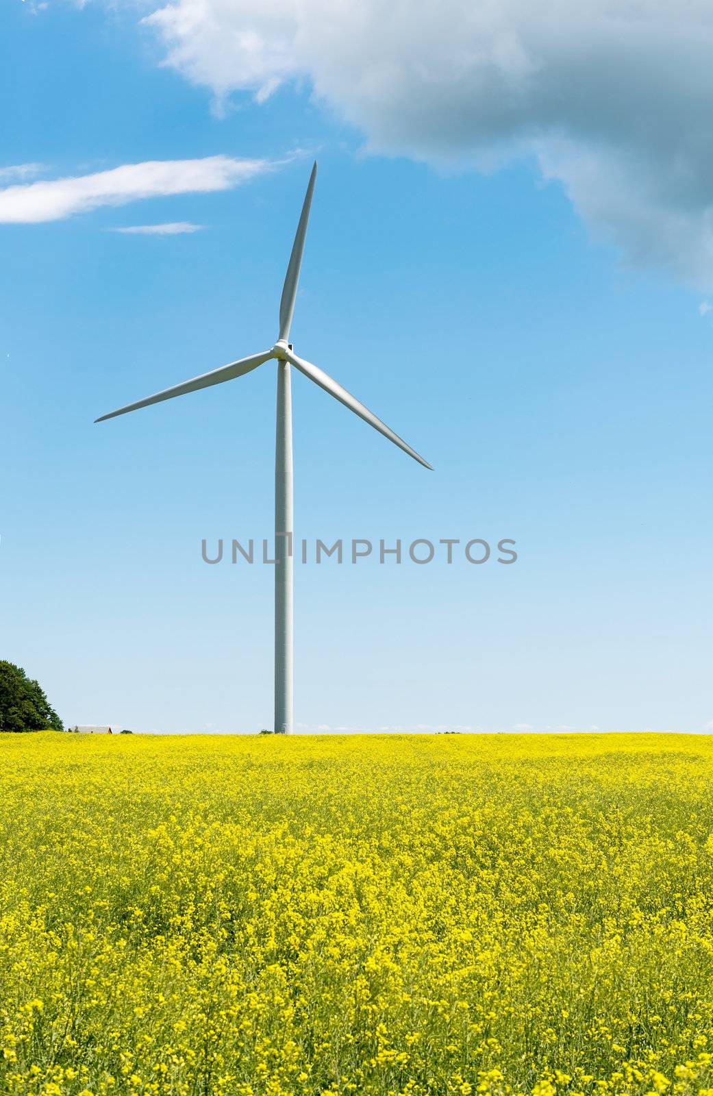 Wind propelled turbine generating electricity