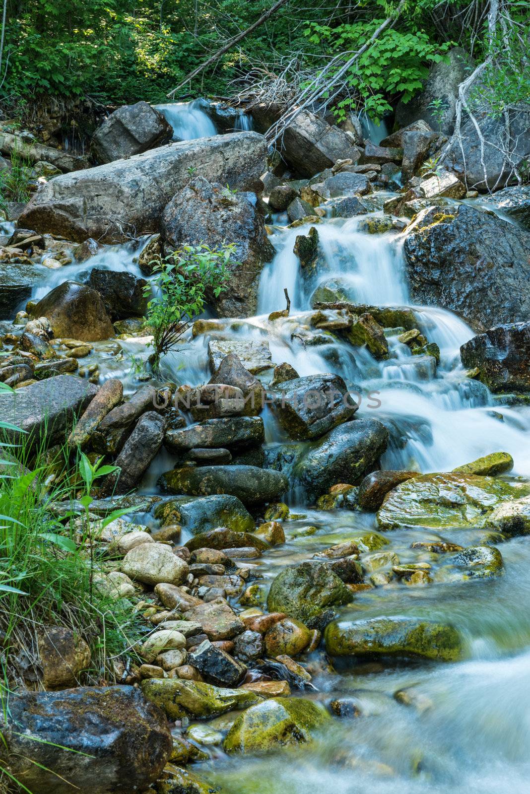 River going through the rocks in Bruce Peninsula, trail in the forest