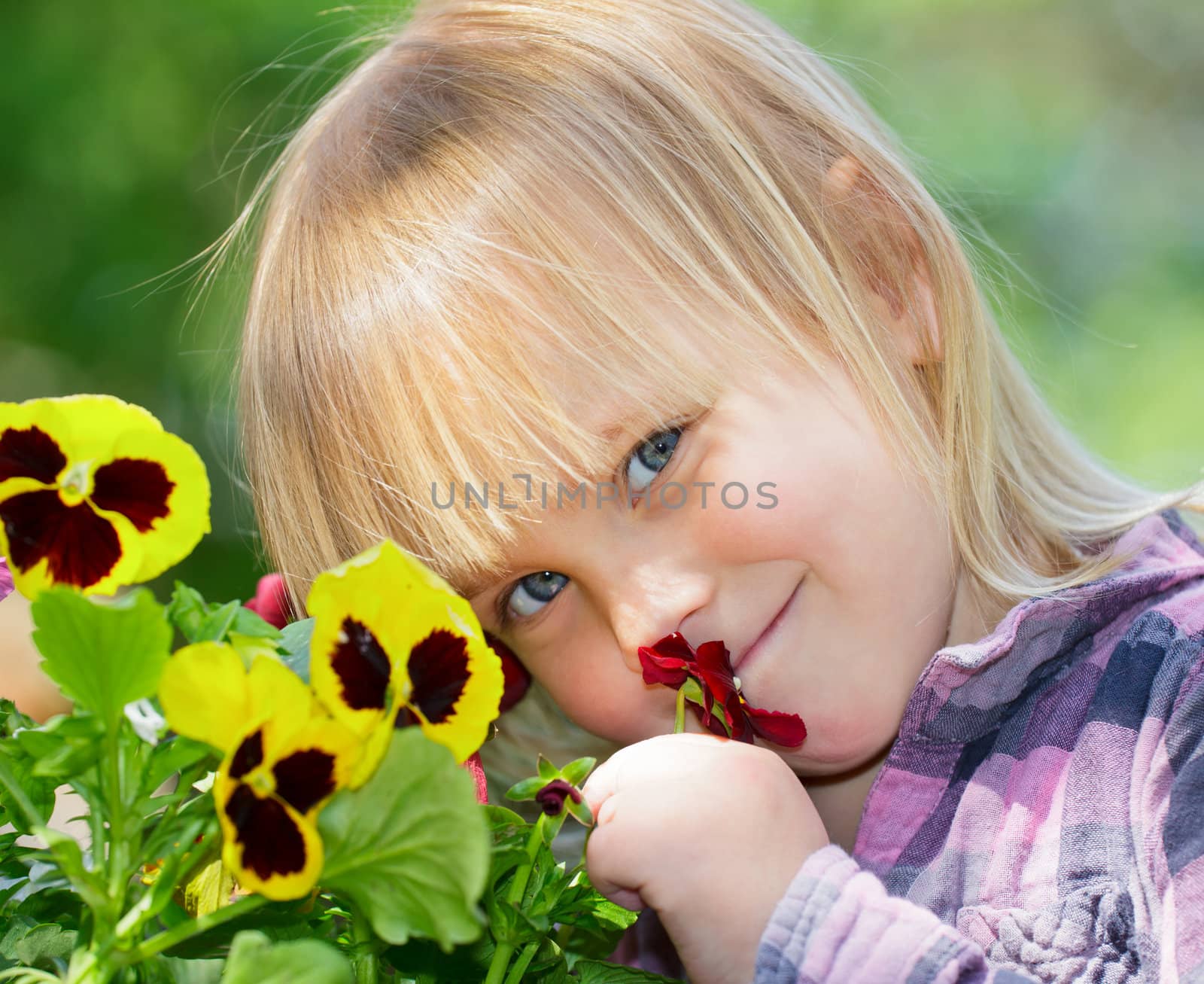 Little girl smelling flowers in a garden