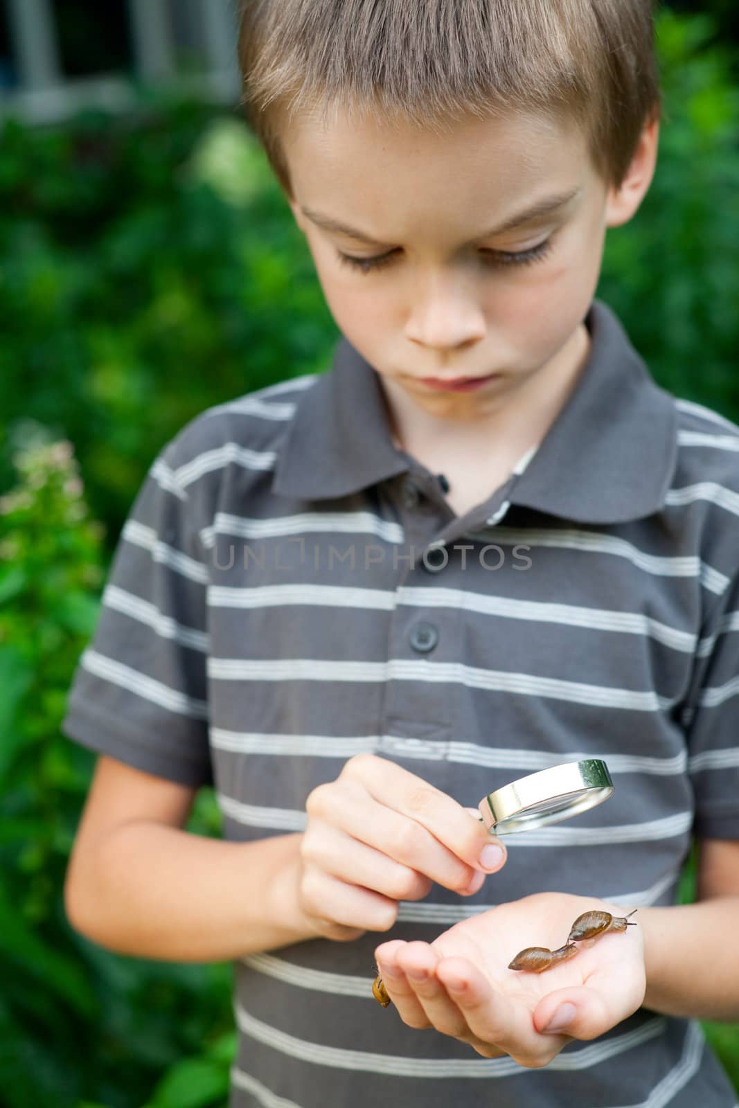 Young boy looking at snails thru hand magnifier, focus on snails