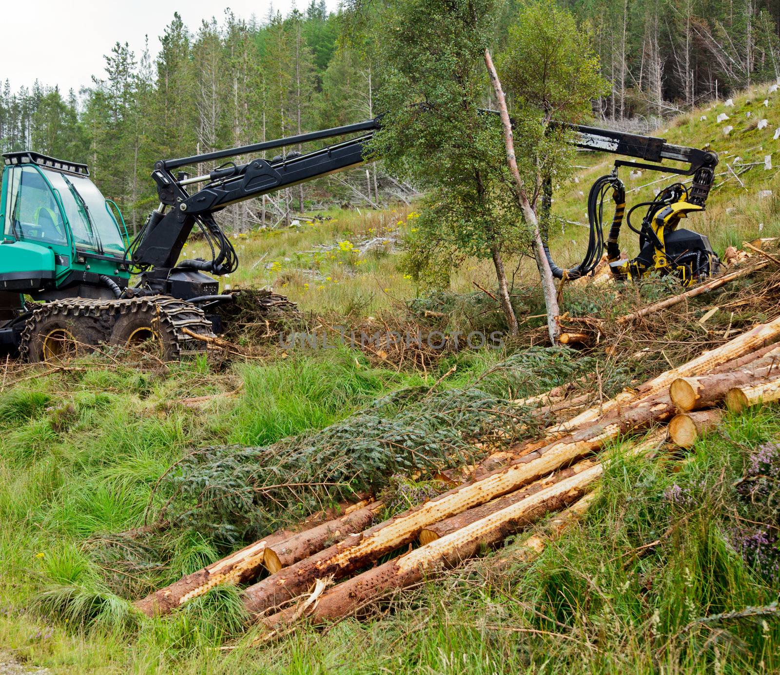 Heavy forestry vehicle harvester employed in cut-to-length logging operations