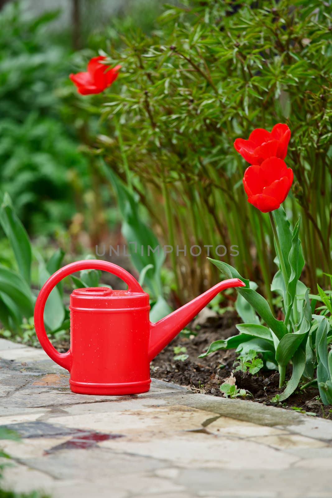 Red watering can on a garden alley