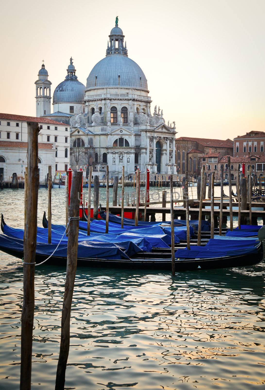 Gondolas and Basilica Santa Maria Della Salute in Venice, Italy