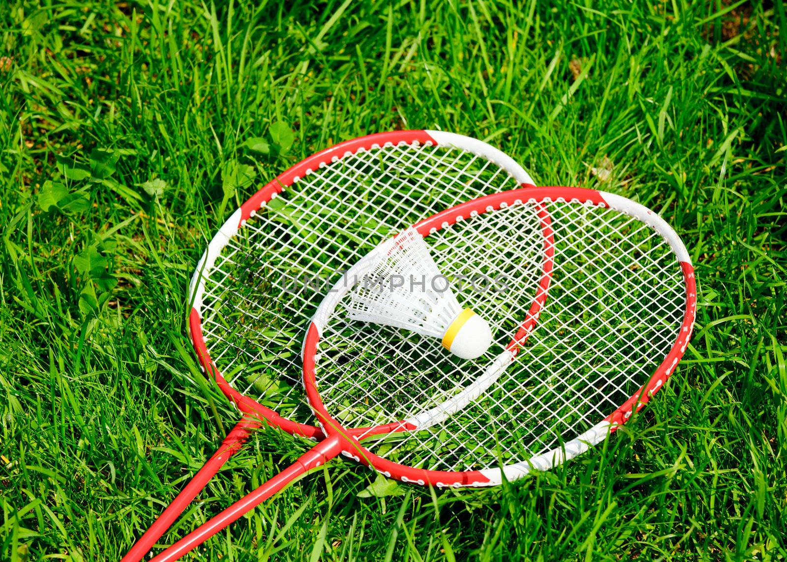 Badminton by naumoid