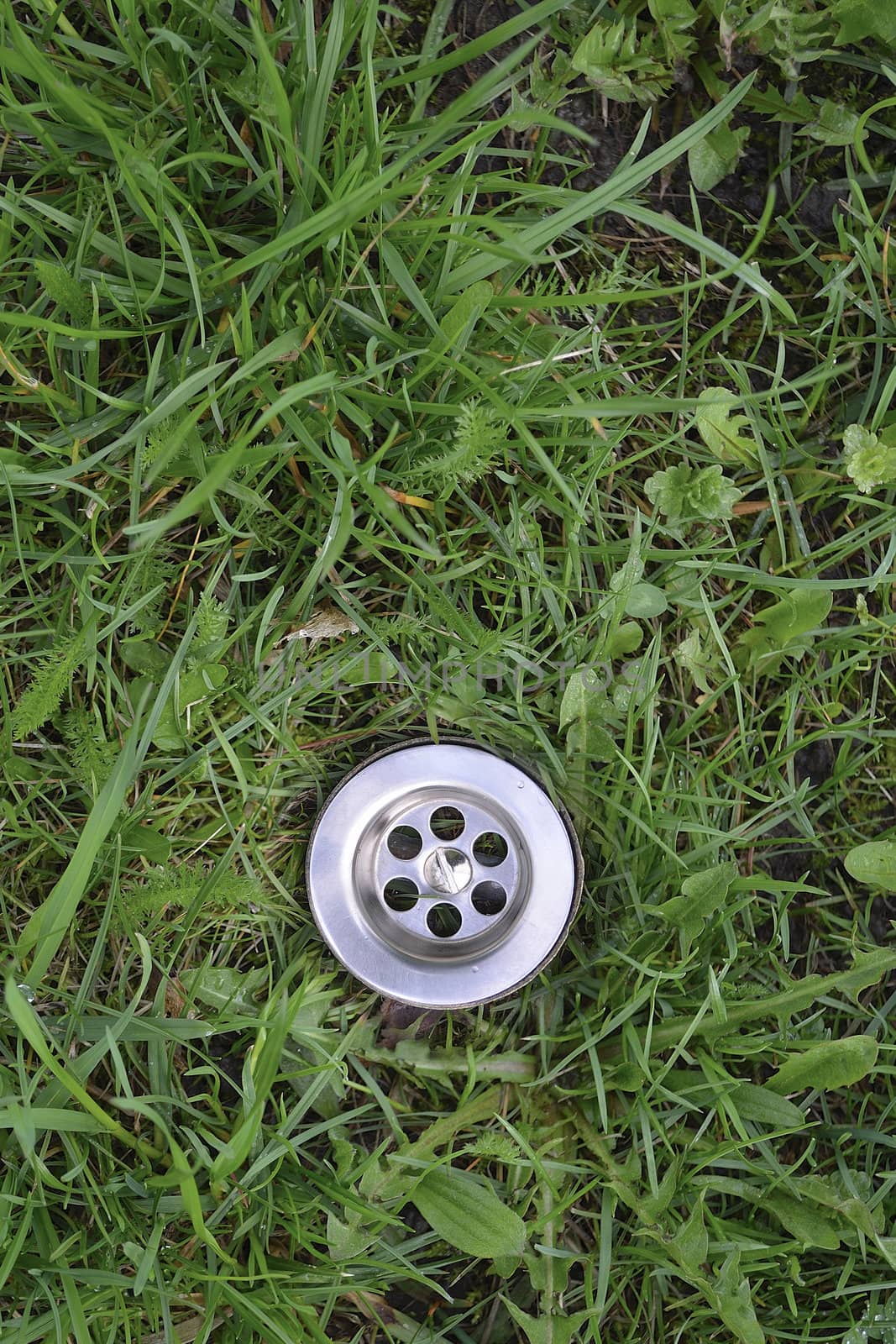 metallic sink hole among green grass background