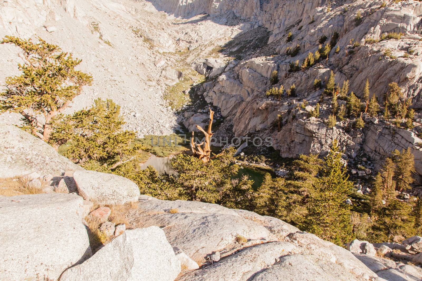 Mt Whitney Trail by melastmohican