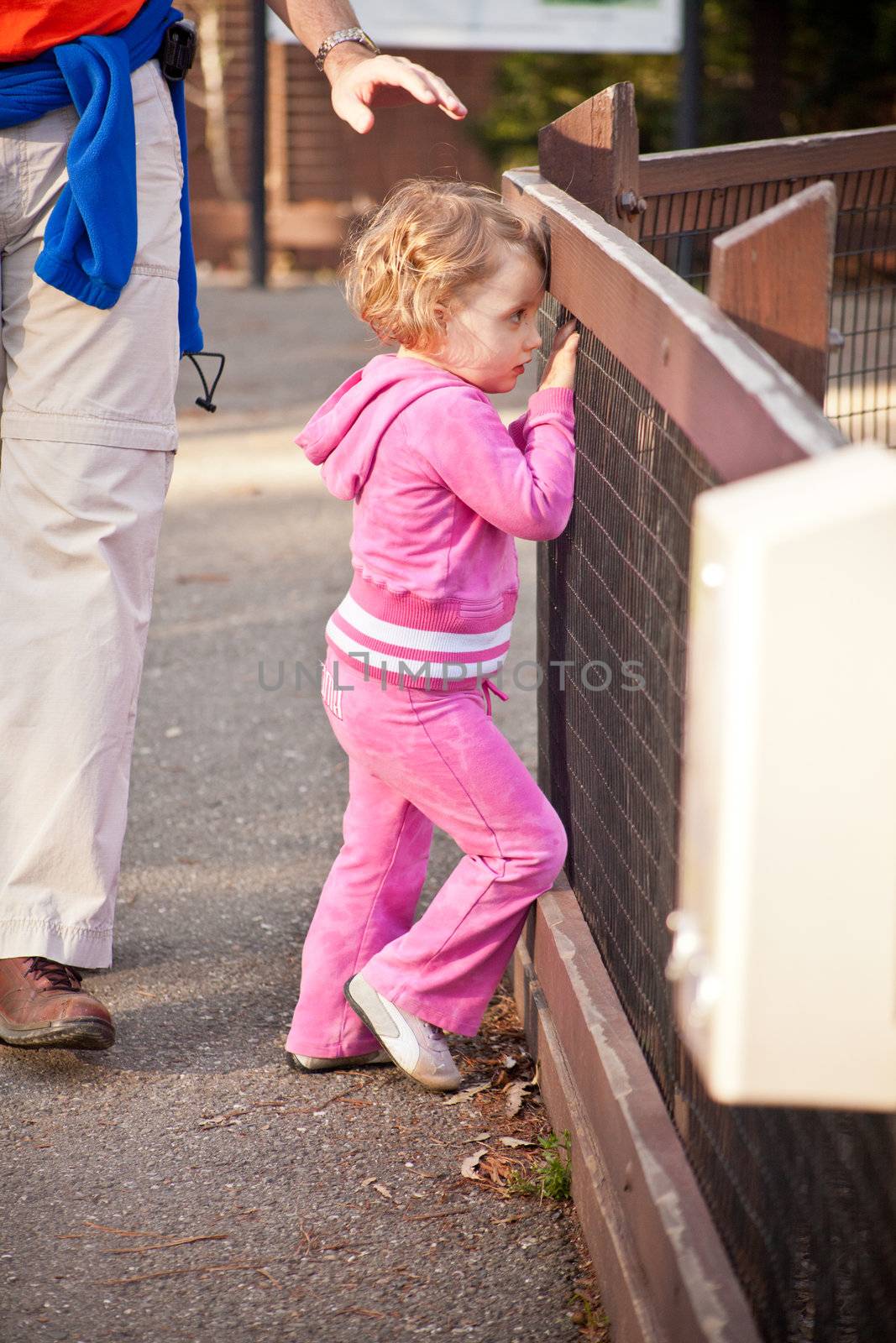 Cute European toddler girl walking around and exploring outdoors.