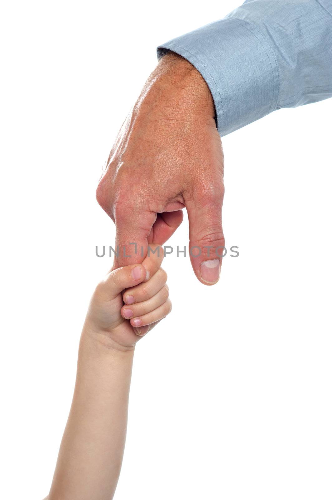 Child holding fathers finger.Isolated on white background.
