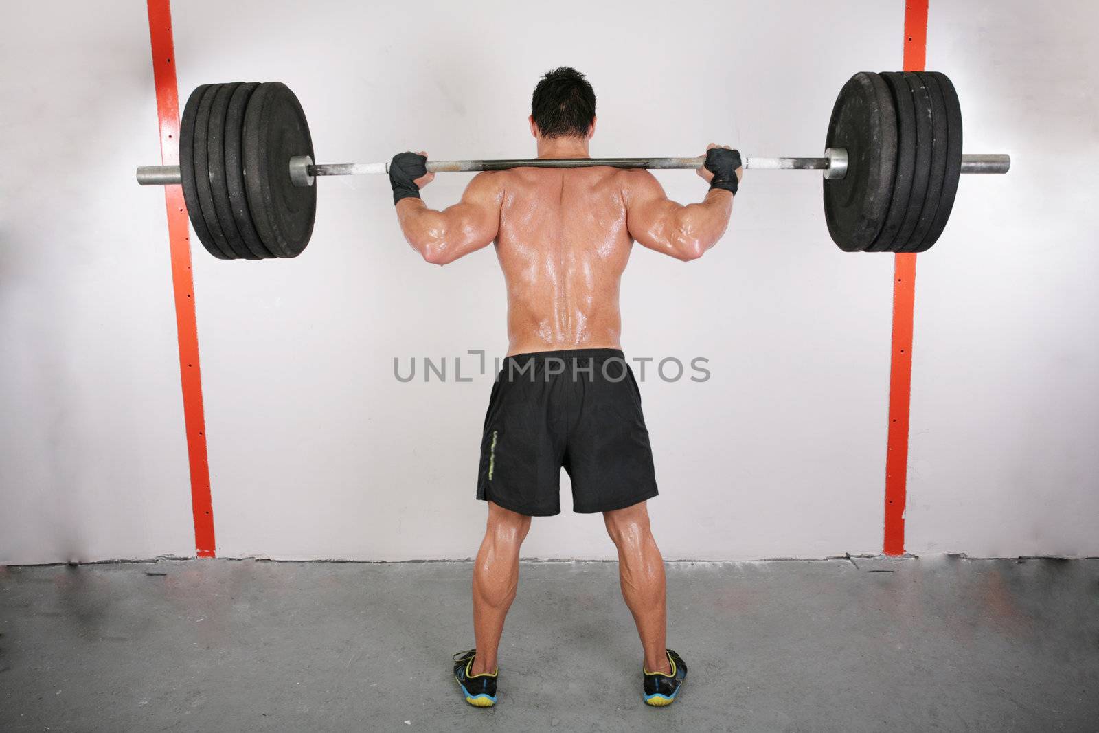 arms and back of a young muscular man working out with a bar