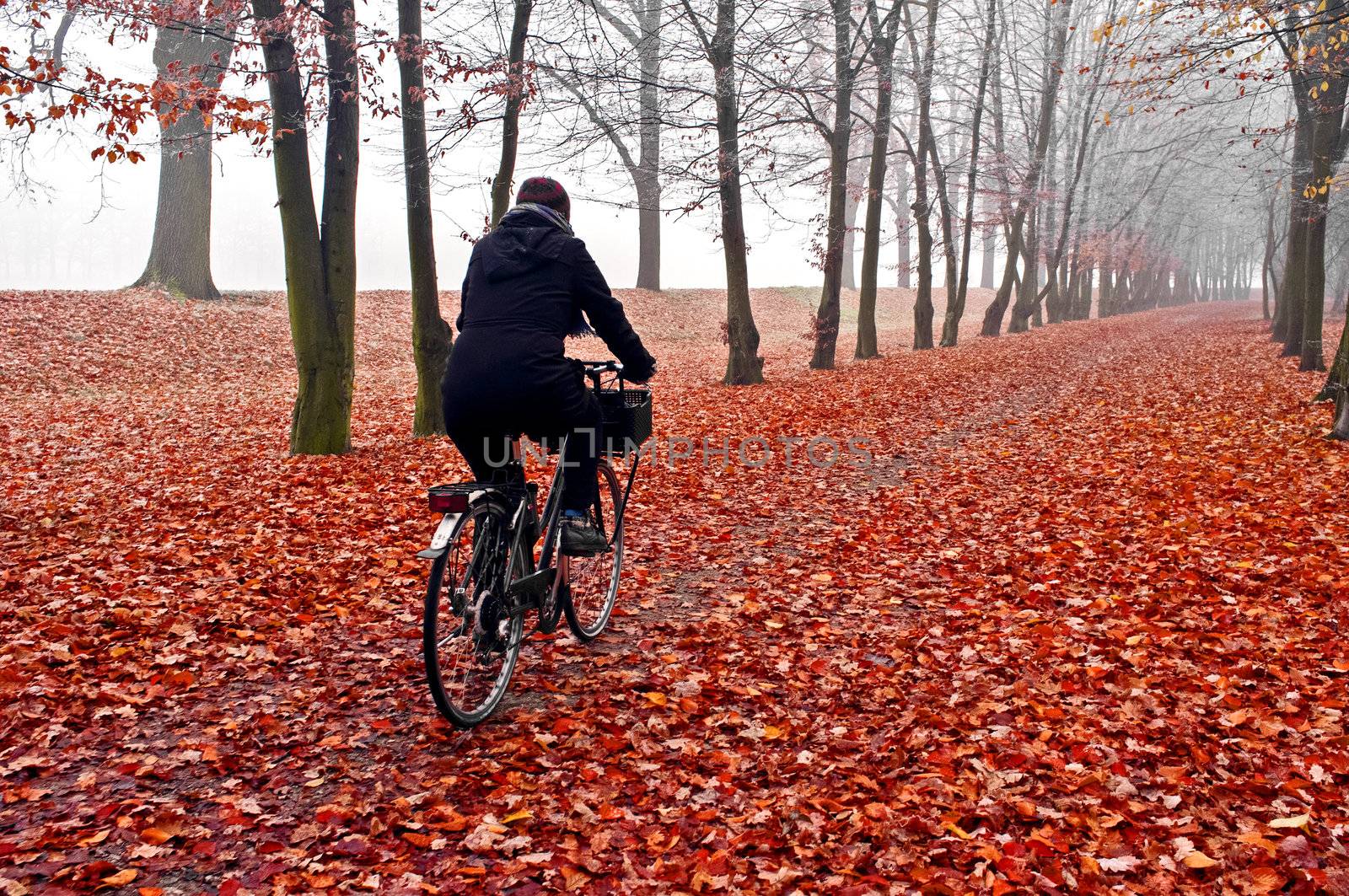 November fog in park with woman riding on bike