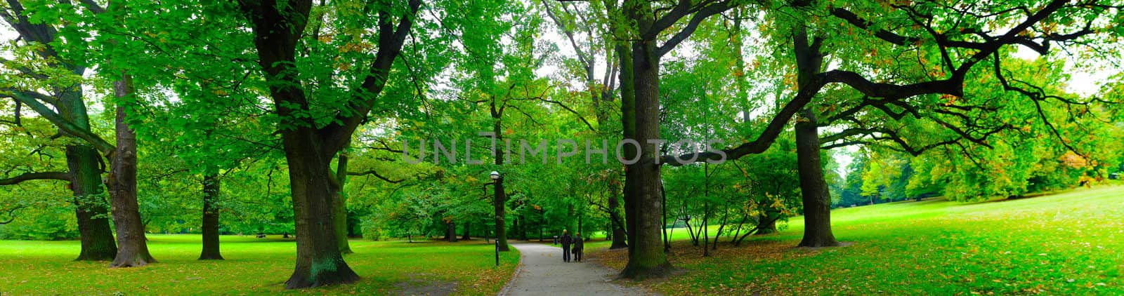 Park in autumn time - panoramic view