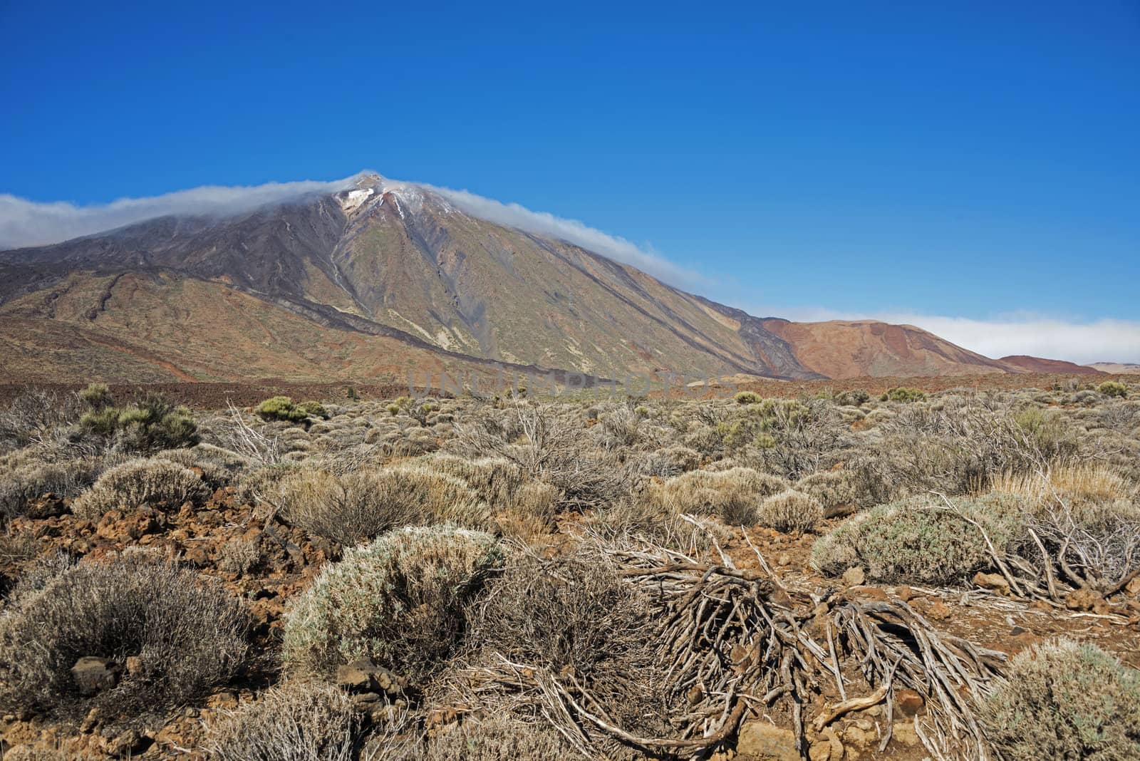 Teide nature  by compuinfoto